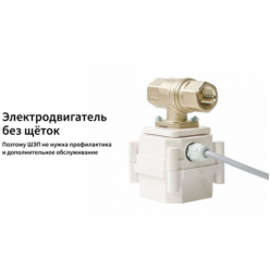 ШЭП ULTIMATE 12V BONOMI  1/2" BS, 4656755825045