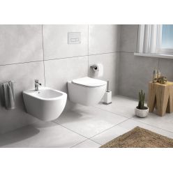 Унитаз подвесной Ideal Standard Tesi Aquablade T0079V1+T3527V11 белый матовый с сиденьем микролифт