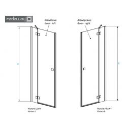 Душевая дверь Radaway Essenza NEW DWJ 120/R, 385016-01-01R