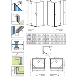 Душевой уголок Radaway Torrenta KDJ 80Rx100 (132250-01-01R)