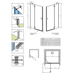 Душевая дверь Radaway Torrenta DWJ 100 R (132020-01-01)