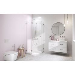 Душевой уголок Radaway Essenza New Pro PTJ 100x90 [10100000-01-01R + 10100900-01-01] правая дверь