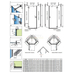 Душевой уголок Radaway Essenza New Pro PTJ 100x90 [10100000-54-01L + 10100900-01-01] левая дверь