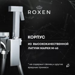 Гигиенический душ с лейкой Roxen Caspia 50096000-BN