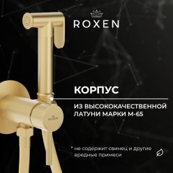Гигиенический душ с лейкой Roxen Santi 50094000-GB 