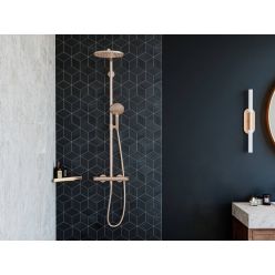 Hansgrohe AddStoris Угловая корзинка черный матовый 41741670