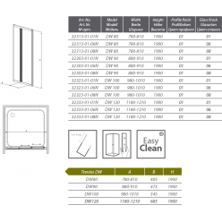 Душевая дверь Radaway Treviso DW 100 [32323-01-01N]