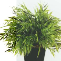 Душевая дверь Triton Форта-Хром 90*90 А