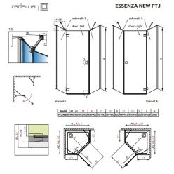 Душевой уголок Radaway Essenza New PTJ 100x90 см [385010-01-01R + 385057-01-01]