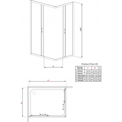 Душевой уголок Radaway Premium Plus C 100x100x190 (30443-01-01N) прозрачное стекло