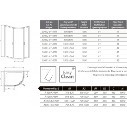 Душевой уголок Radaway Premium Plus E 90x80 (30492-01-01N)