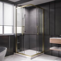 Душевой уголок Veconi Premium Trento PTC-20G 80х80