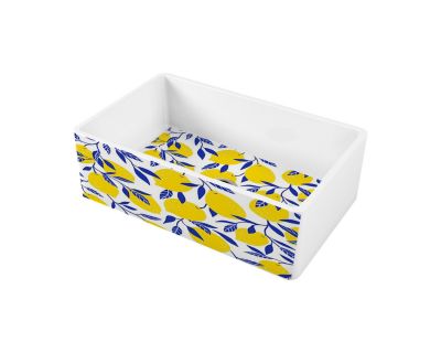 Кухонная мойка из керамики Omoikiri Mikura 76-Lemon Natceramic/white