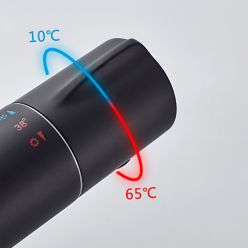 Душевая стойка с термостатом Ledeme L2422B