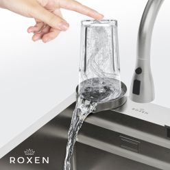 Кухонная мойка Roxen Stage Plus 60