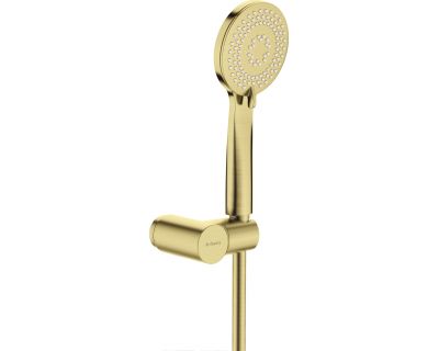 Душевой гарнитур Deante ARNIKA GOLD BR NQA_R41K брашированное золото