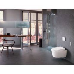 Унитаз-биде подвесной Geberit AquaClean Sela 146.145.11.1