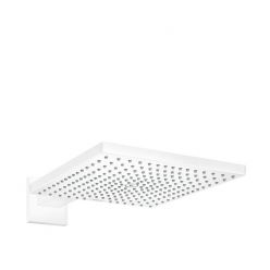 Верхний душ Hansgrohe Raindance E 300 1jet с держателем 26238700