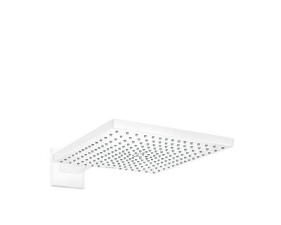 Верхний душ Hansgrohe Raindance E 300 1jet с держателем 26238700