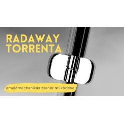 Душевая дверь Radaway Torrenta DWJ 100 L (131920-01-01)