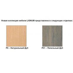 Зеркало105 см Jacob Delafon Lignum EB1263RU-P01, пепельный дуб